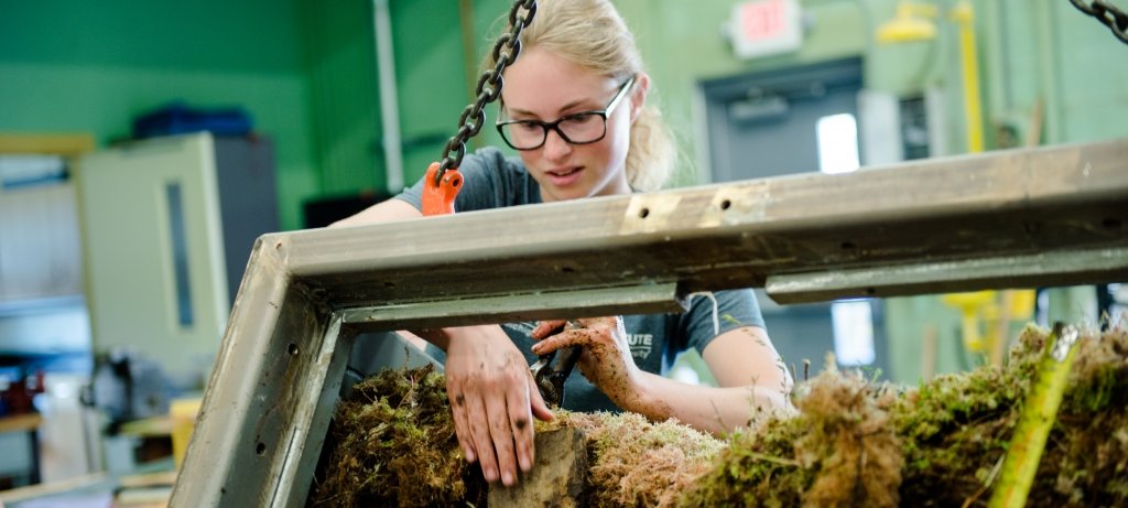 Student working on peat moss.