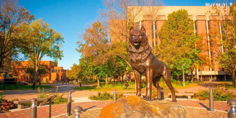 The Husky Statue