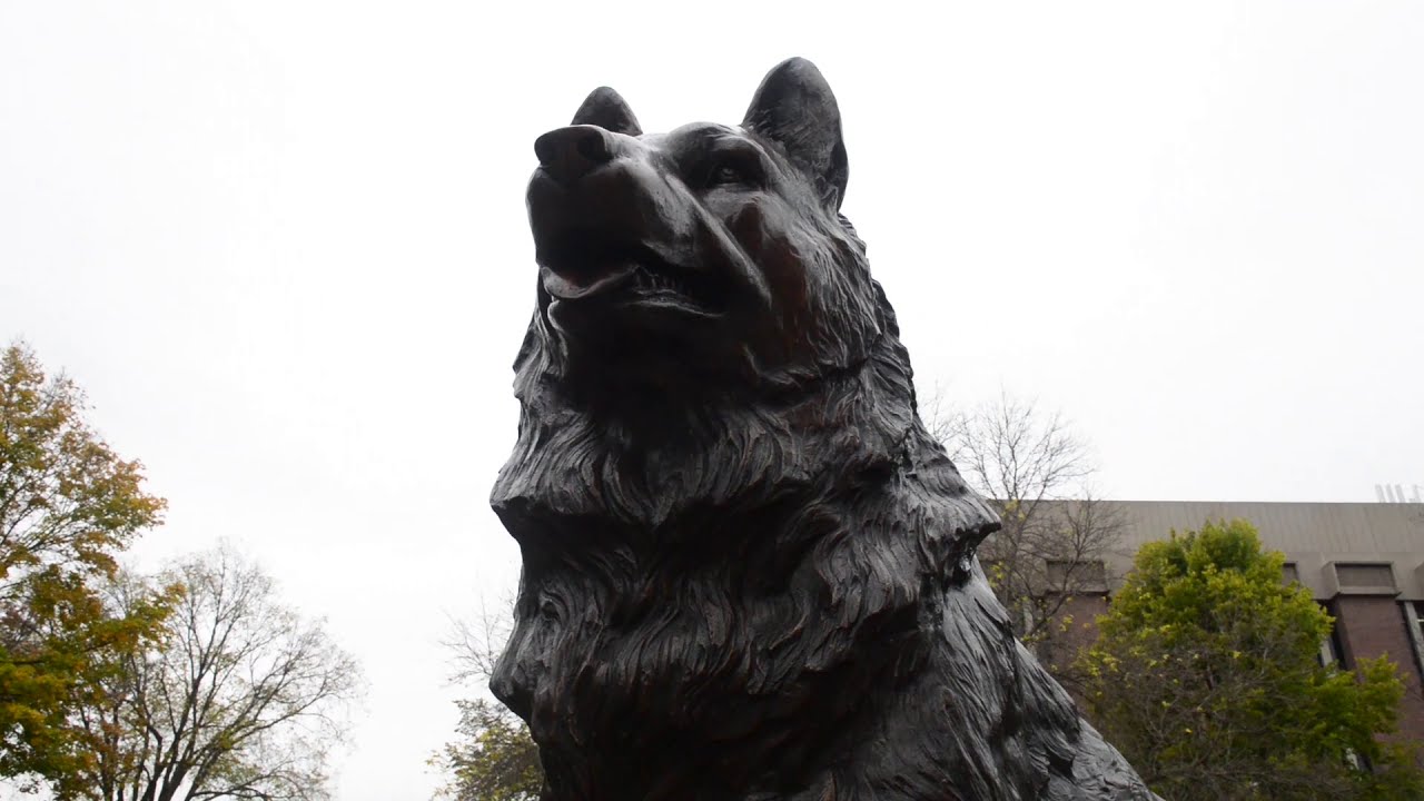 Preview image for Husky Traditions at Michigan Tech video