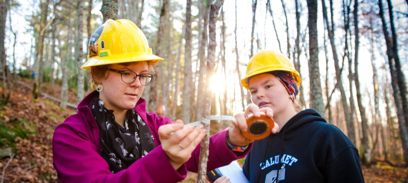 Students measuring trees.