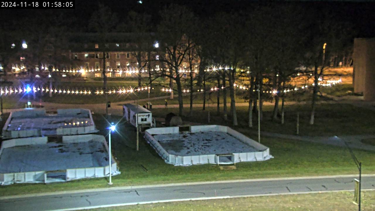 Overlooking the lawn in front of the Walker Arts and Humanities Center.